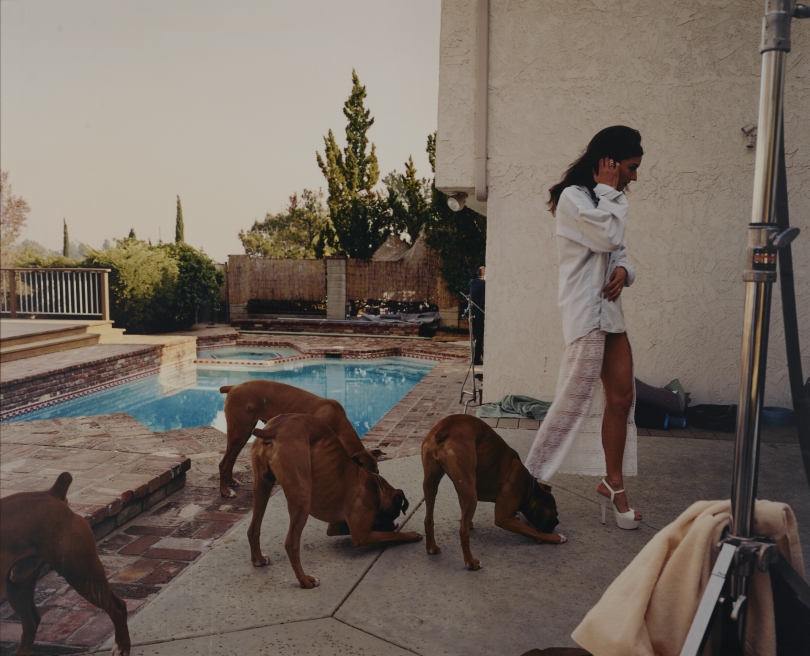 Larry Sultan, Boxers, Mission Hills (from the series The Valley), 1999 Larry Sultan, Boxers, Mission Hills (from the series The Valley), 1999