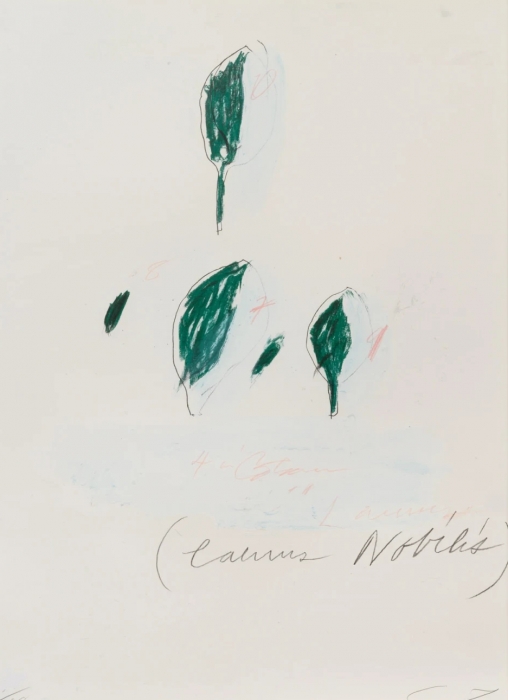 Cy Twombly, Natural History Part II: Some Trees of Italy, 1976 