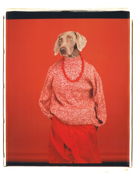 William Wegman, Being Human William Wegman, Being Human