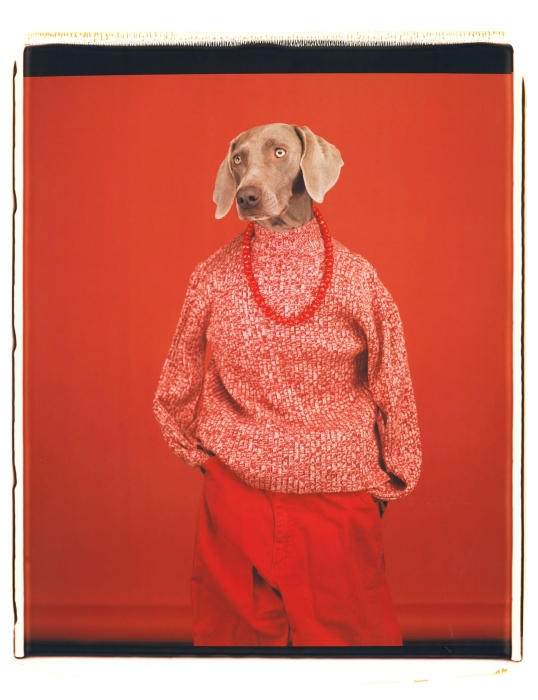 William Wegman, Being Human