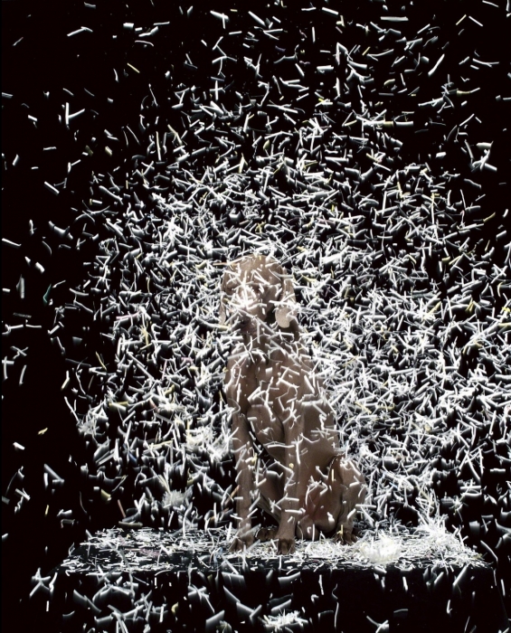 William Wegman, Blizzard, 2003 William Wegman, Blizzard, 2003