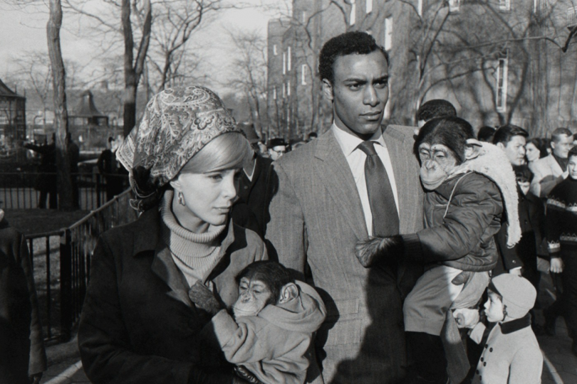 Garry Winogrand, Central Park Zoo