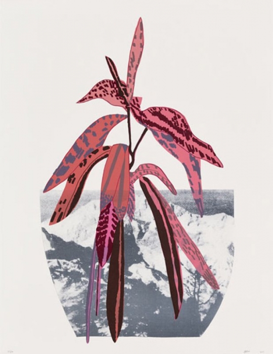 James Wood, Untitled, 2014 James Wood, Untitled, 2014