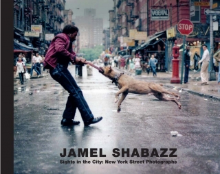 Jamel Shabazz, Sights in the City:  New York Street Photographs