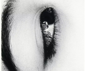 Nobuyoshi Araki, Erotos