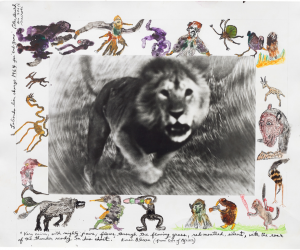 Peter Beard, Loliondo Lion Charge Peter Beard, Loliondo Lion Charge