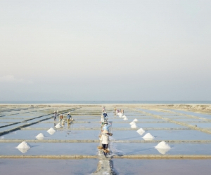 David Burdeny, Salt Farms, 2014