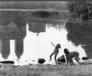 Elliott Erwitt, Central Park