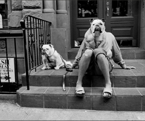 Elliott Erwitt, New York City