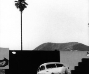 Elliott Erwitt, Los Angeles, Single Plam