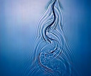 Adam Fuss, Snake