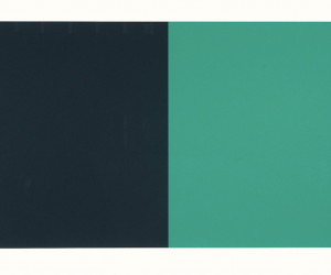 Ellsworth Kelly, Blue Gray Green Red, 2008