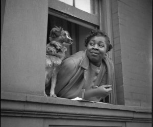 Gordon Parks, Woman and Dog in Window, Harlem, New York, 1943 Gordon Parks, Woman and Dog in Window, Harlem, New York, 1943