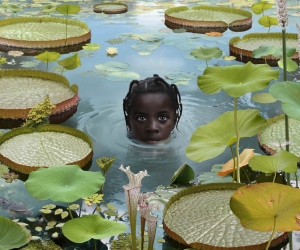 Ruud van Empel, Girl with Lillipads