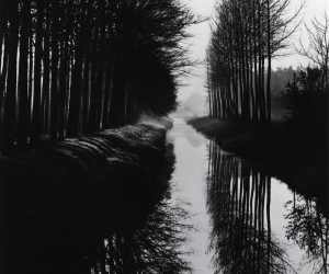 Brett Weston, Canal Brett Weston, Canal