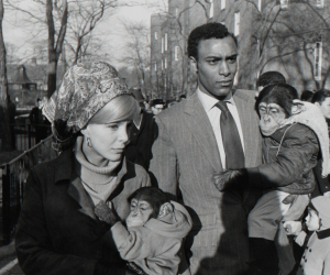Garry Winogrand, Central Park Zoo