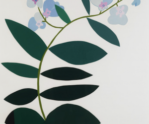 Jonas Wood, Clippings, 2018
