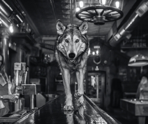David Yarrow, Friday Night at the Pioneer, 2021 David Yarrow, Friday Night at the Pioneer, 2021